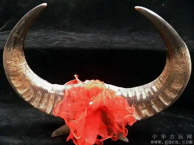 老水牛角摆件