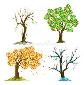 四季树木卡通动漫人物工笔画