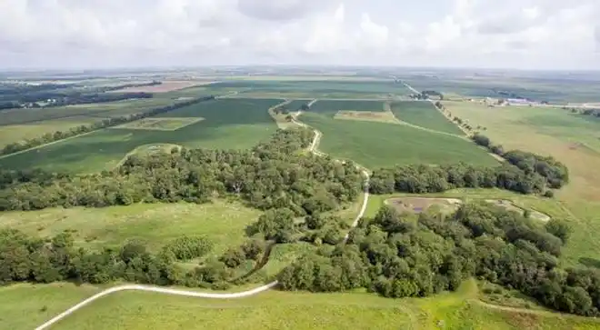 tnc湿地保护案例分享 | 创新构建人工湿地改善农业径流