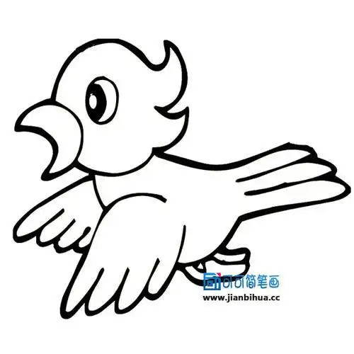 简笔画开心的鸟