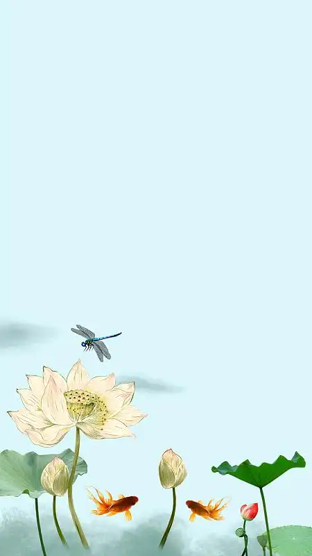 中国风纸质荷花背景素材