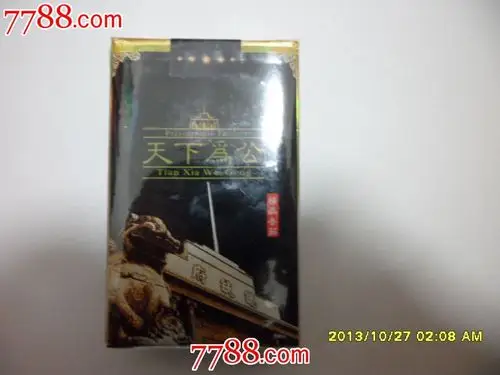 大总统【天下为公】