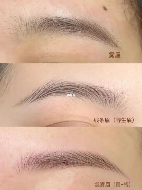 雾眉 线条眉 丝雾眉|纹眉怎么选?