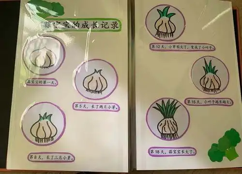记录蒜宝宝成长