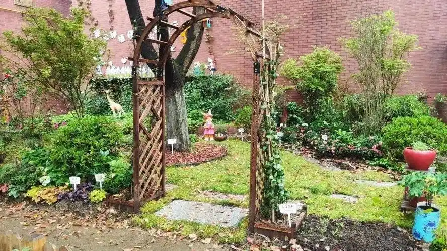 门前空地变身迷你花园 有你家小区吗?