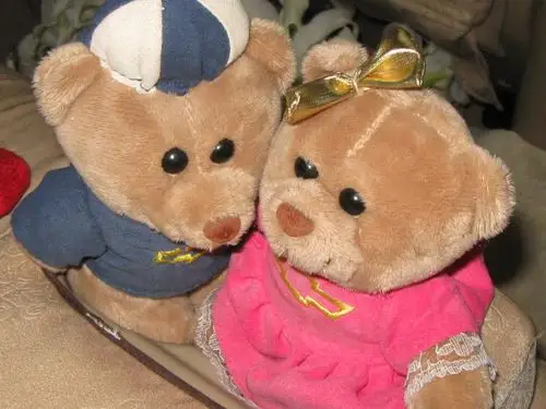 实拍--两只熊熊的爱情