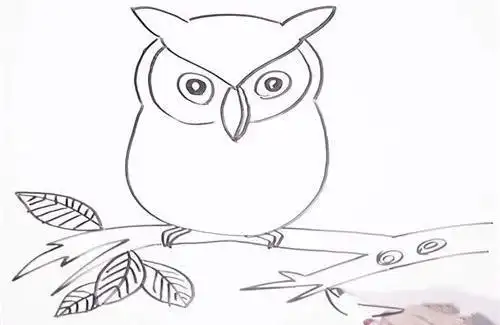 哈利波特简笔画猫头鹰