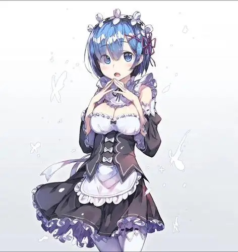 《re:从零开始的异世界生活》人气角色雷姆美图欣赏 第四期