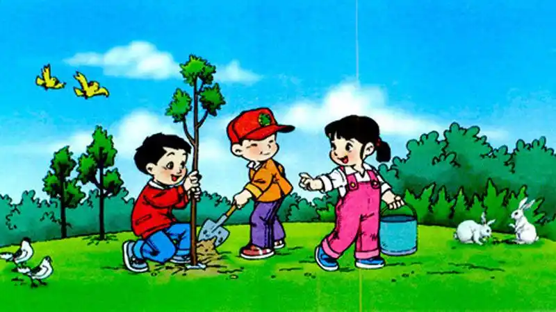 大家打小就知道种树的好处,种树不仅是对抗雾霾,对于消除噪音一类也是