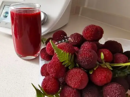 家有儿女lhj做的夏天超级好喝的杨梅汁