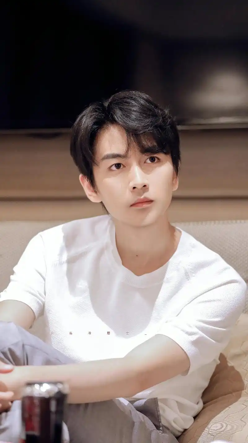 精美图集|陈晓帅气写真