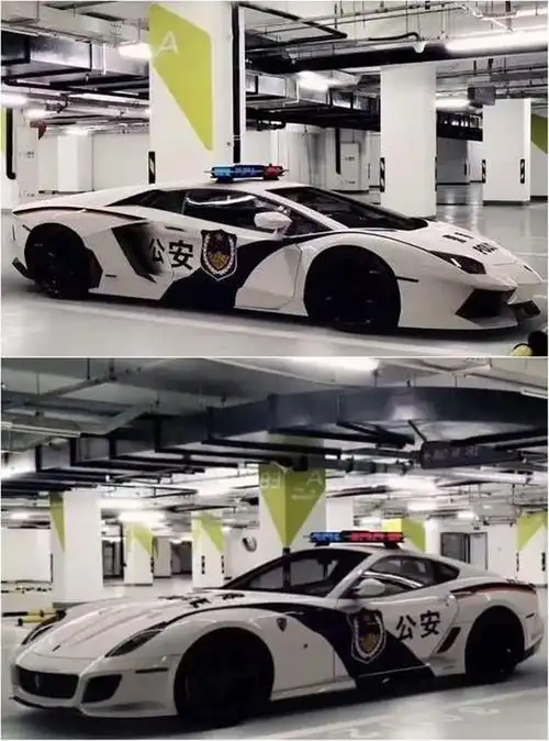 超级跑车"穿上"中国警服,网友:全世界的警车,也就中国最霸气_网易订阅