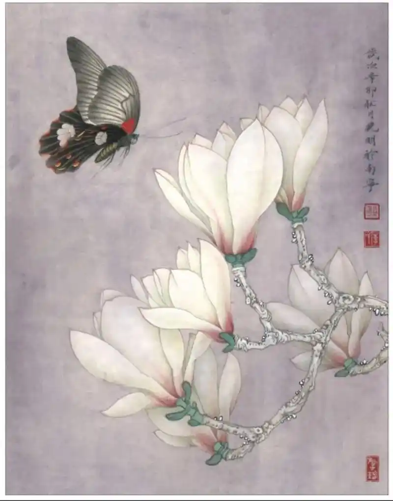 李晓明工笔花鸟——【玉兰蛱蝶图】,细节图分享#国画 #名家名 - 抖音