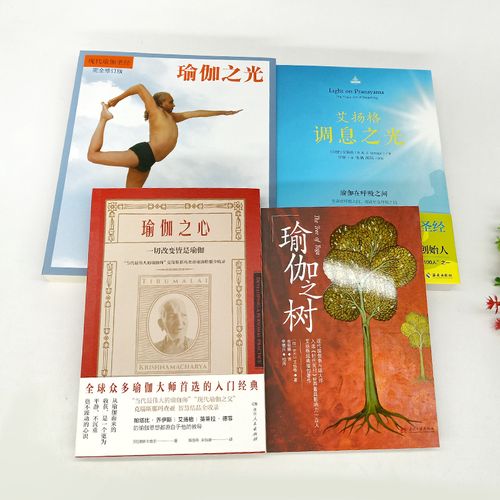 瑜伽之光4册塑身减肥艾扬格养颜气血减脂运动瑜伽