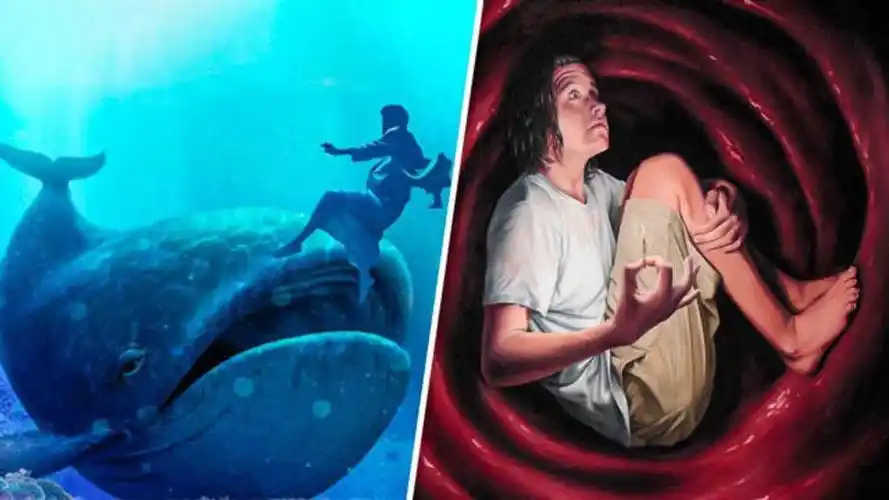 4个最奇怪的问题,人真能被鲸鱼吞掉吗,活下来的可能性有多大?