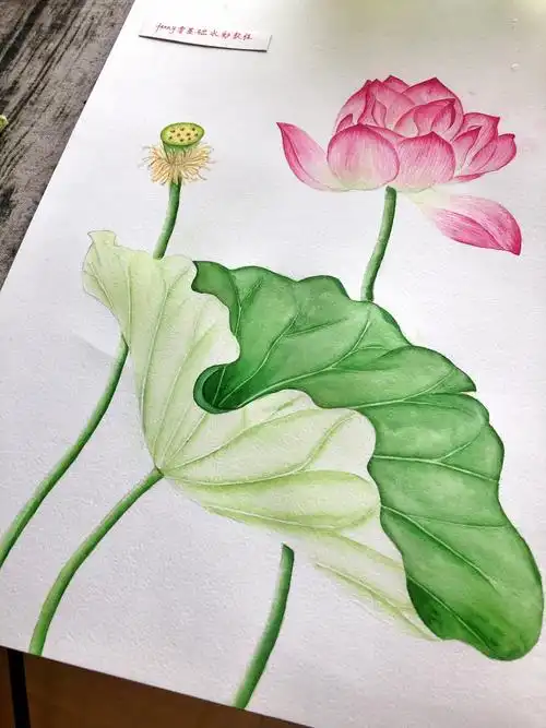 【原创】水彩入门10节课-夏荷04 - 简书