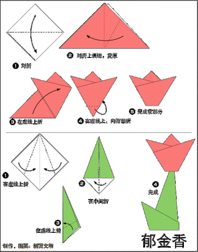 郁金香折纸的折法 步骤图解
