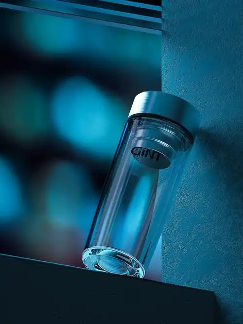 gint嘉特大容量300ml保温杯 男士茶杯透明耐高温水杯便携玻璃杯