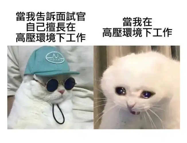 高压环境下工作高压环境下工作 - 我只能说每一个都是我本人_工作表情