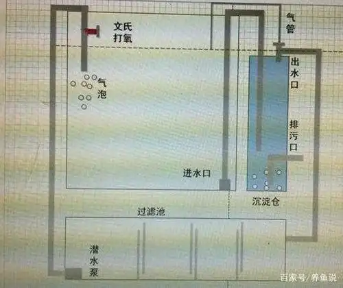 这强大的鱼缸过滤系统,你有在用吗?养观赏鱼过滤效果好也省电
