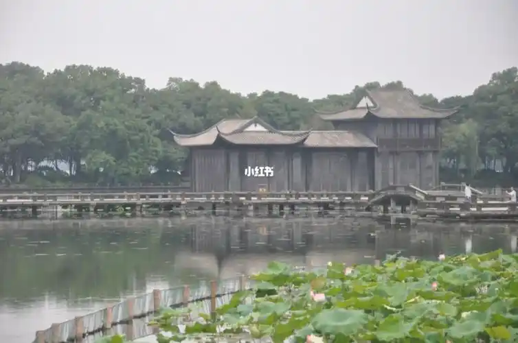 杭州拍照曲院风荷