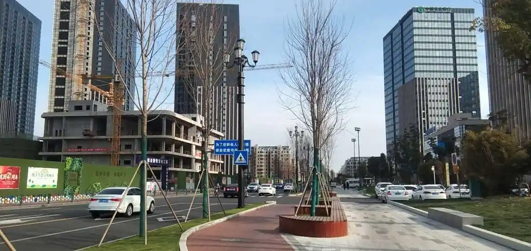 体验盐南高新区网红路——戴庄路!