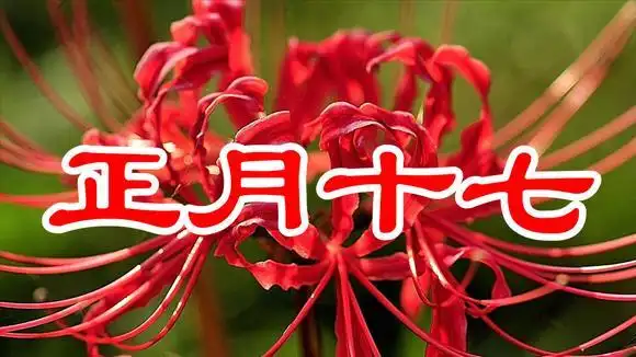 正月十七!点播一首 金玉满堂 吉祥如意爽心扉 事业顺利官运达!