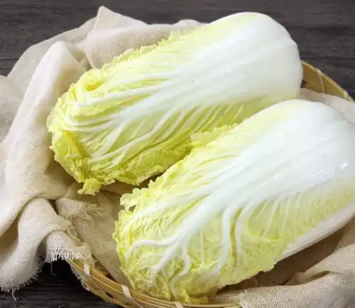 娃娃菜的功效与作用介绍!