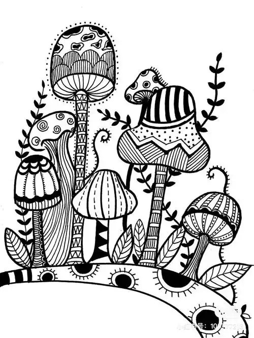 50种创意线描,用简单的笔画出超精美的画作,颜值好看又耐看