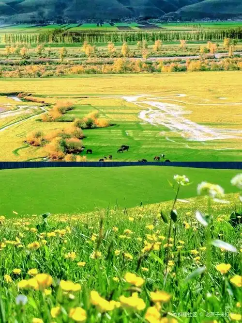 喀拉峻草原位于新疆伊犁哈萨克自治州特克斯县境内.