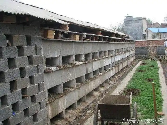 4种兔舍的利与弊