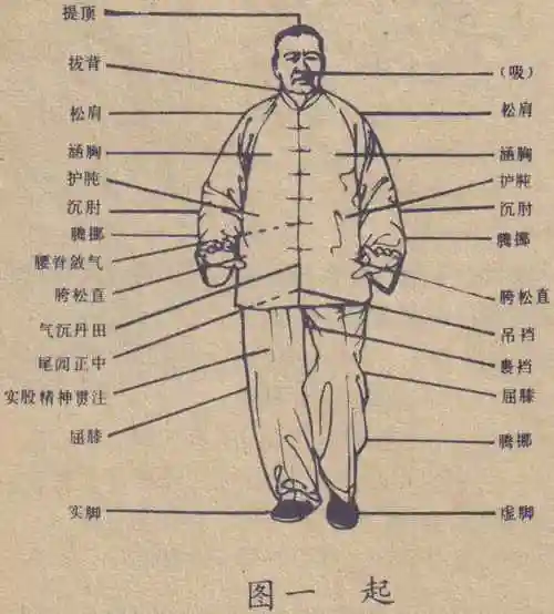 图解太极拳要领