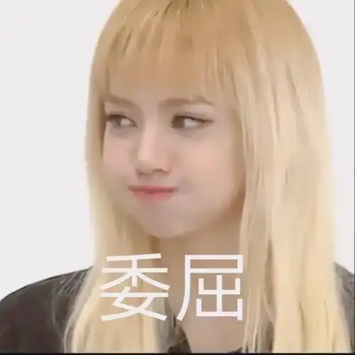 lisa的表情包哦