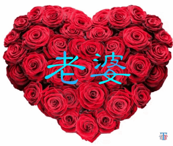 老婆你辛苦了我爱你