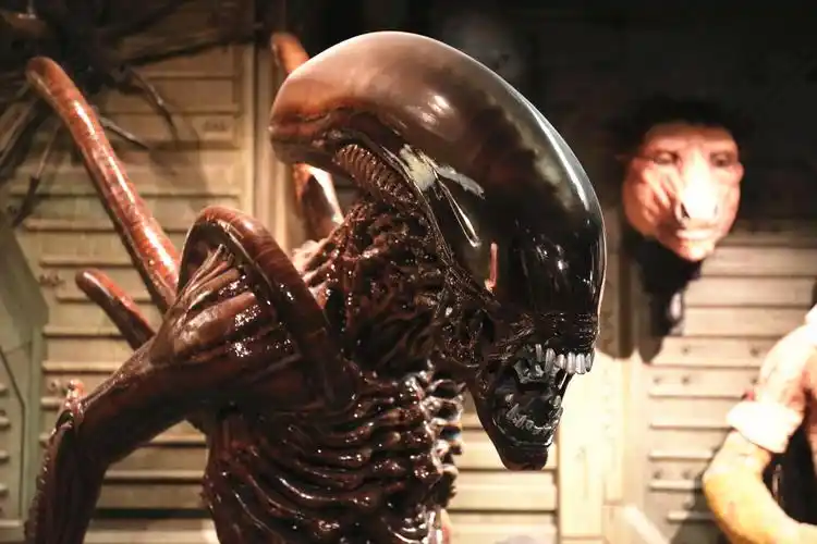 迪士尼打造异形大战铁血战士3重启还是续集你想看哪一个
