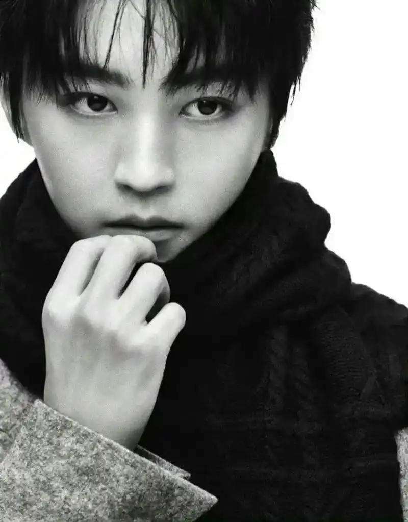 黑白系 #王俊凯 #理想型 #小说男主脸 那些属于我们两个 - 抖音