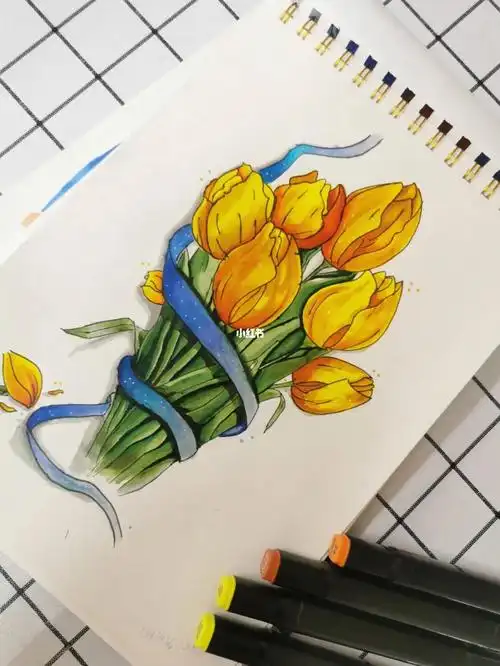 马克笔手绘零基础成人学画画