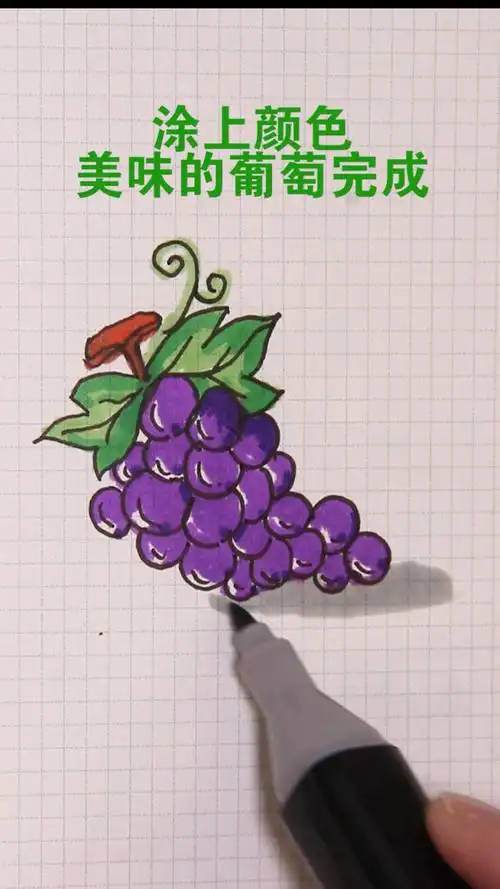 用马克笔画葡萄_腾讯视频