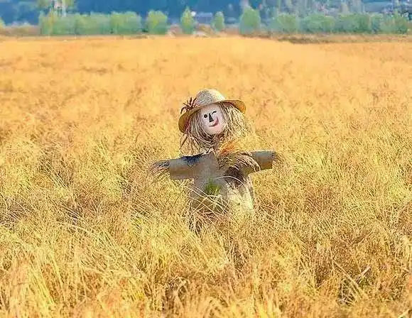 第二个记得比较深刻的是李贵权,也是一个男孩子,白瘦白瘦的,他说我叫