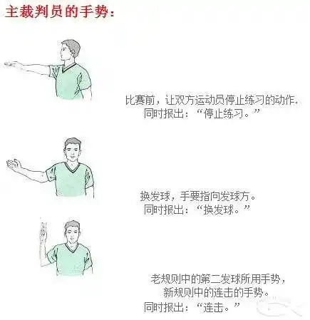 【羽毛球】裁判员,司线员手势