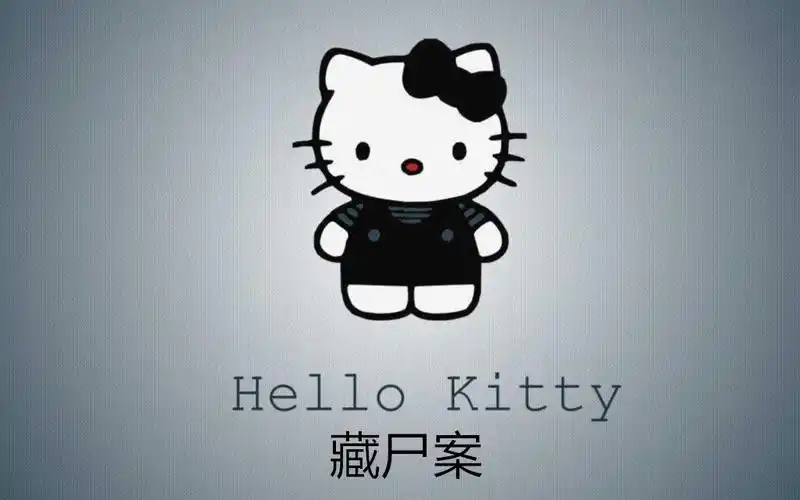 【宝哥讲大案】kitty猫本应是可爱的象征,却有一伙人把她变的恐怖