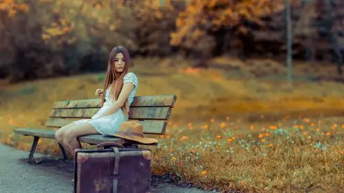 白色连衣裙的女孩,手提箱,木椅,鲜花 壁纸 - 2560x1440