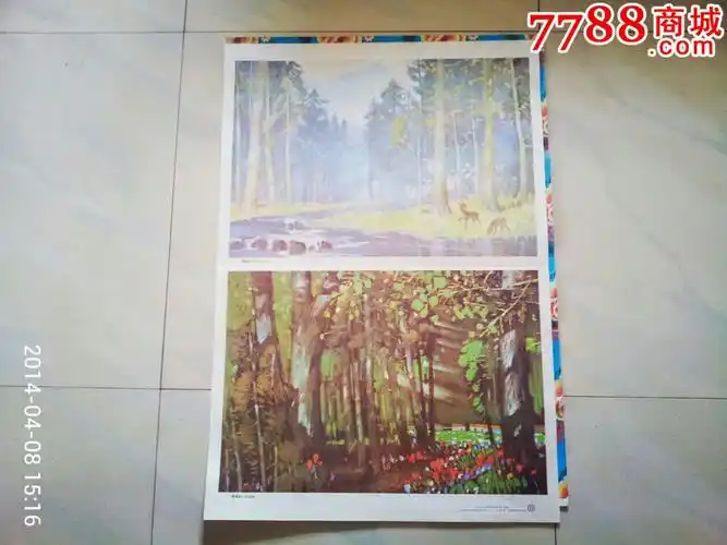 美丽的小兴安岭