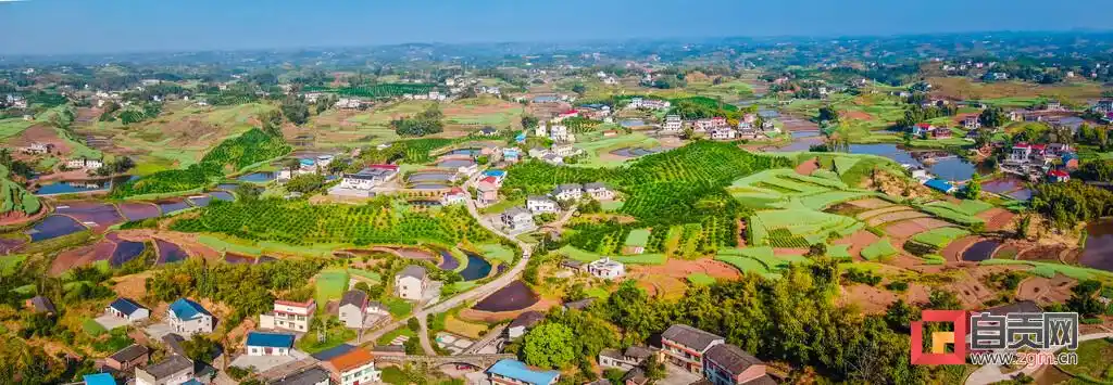 产业兴旺治理有效富顺县罗寺村焕发乡村振兴新气象