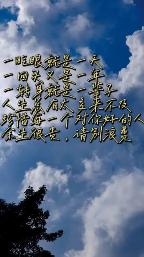 一眨眼就是一天 一回头又是一年 一转身就是一辈子 人生总有太多来不