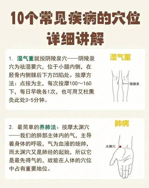 无论男女,可能用到,收藏备用1,舌苔厚腻,脾胃虚弱,湿气重——阴陵泉2