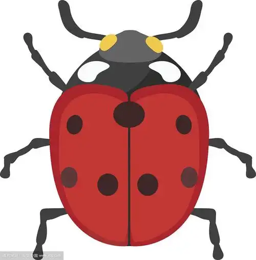 可爱的卡通瓢虫矢量昆虫孤立在白色的背景