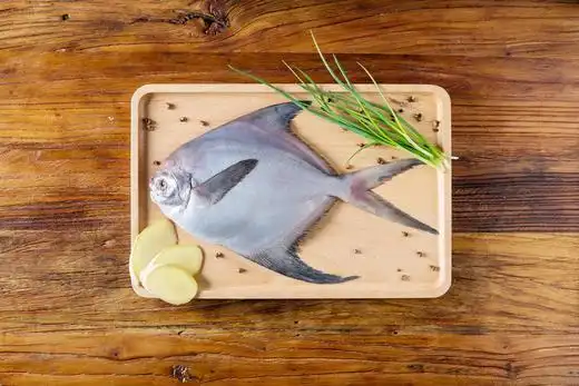 不缺鱼 东海冰鲜大白鲳