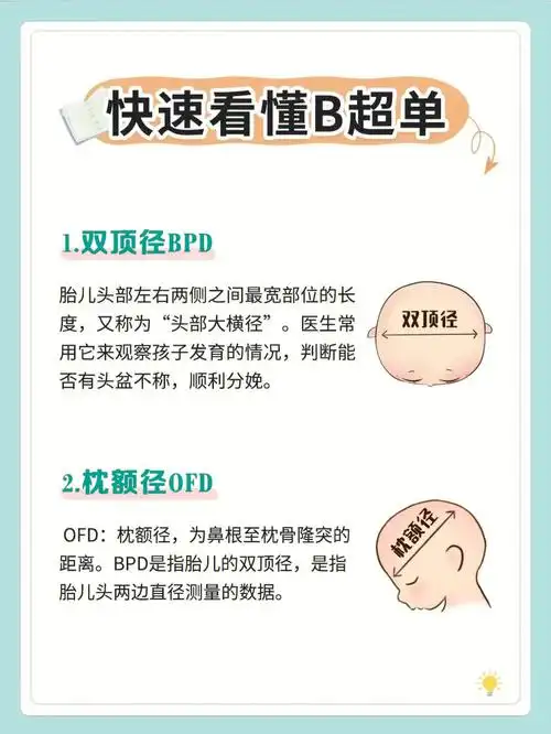 很多女性怀孕后,都会定期做一下b超检查.