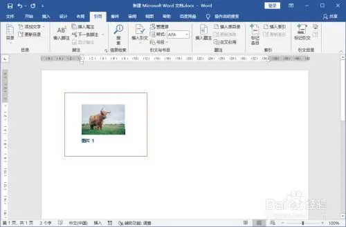 word怎样给图片添加图注